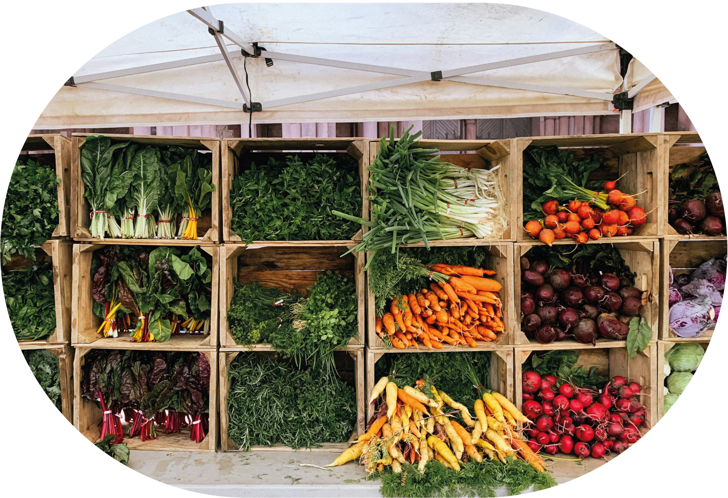 Marktstand mit frischem Gemüse und Obst präsentiert in Holzkisten 